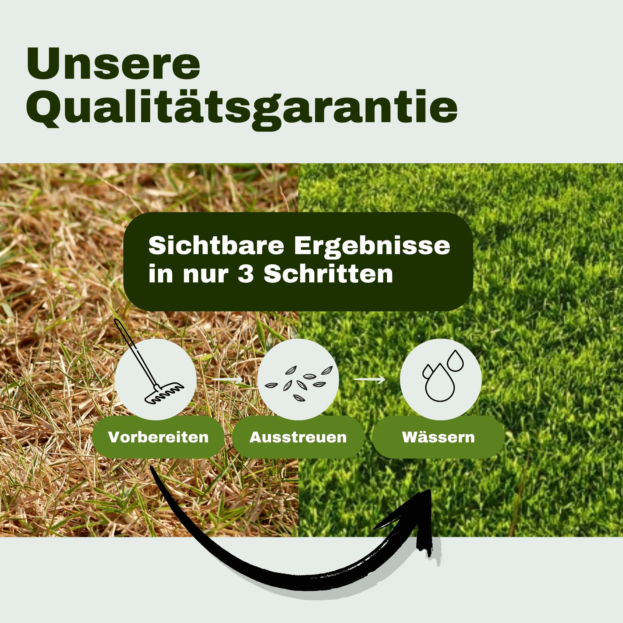 Mein Schöner Premium-Rasen „allround“ Nr. 20