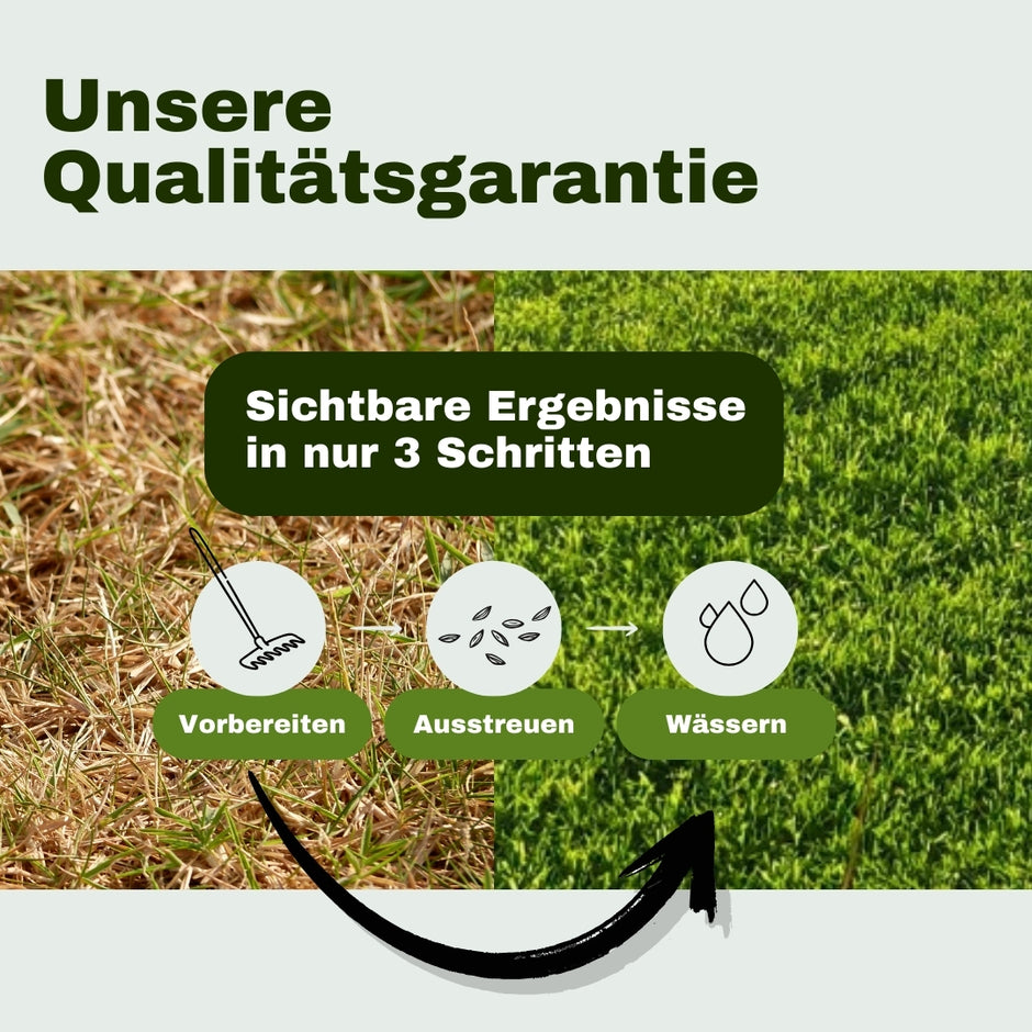 Rasen Unterschiedlich Grun 1