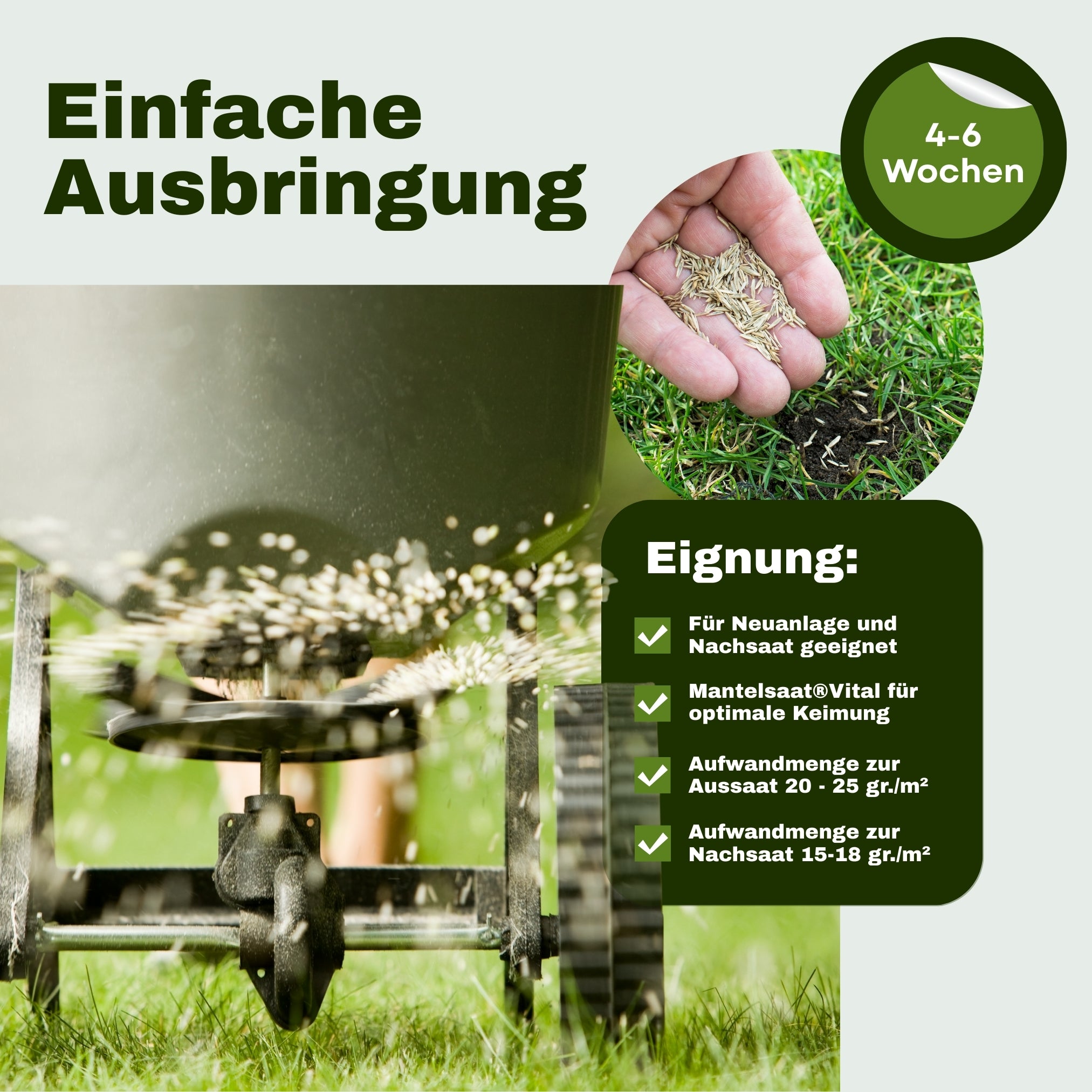 Mein Schöner Premium-Rasen „allround“ Nr. 20