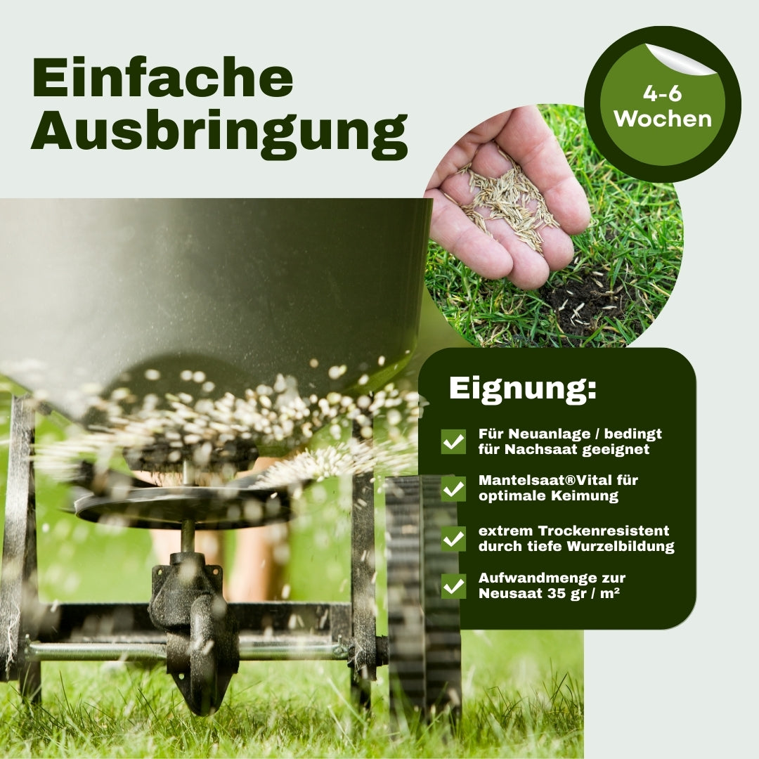 Mein Schöner Premium-Rasen „trocken“ Nr. 30