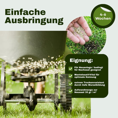 Mein Schöner Premium-Rasen „trocken“ Nr. 30