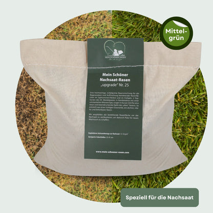 Mein Schöner Nachsaat-Rasen „upgrade“ Nr. 25